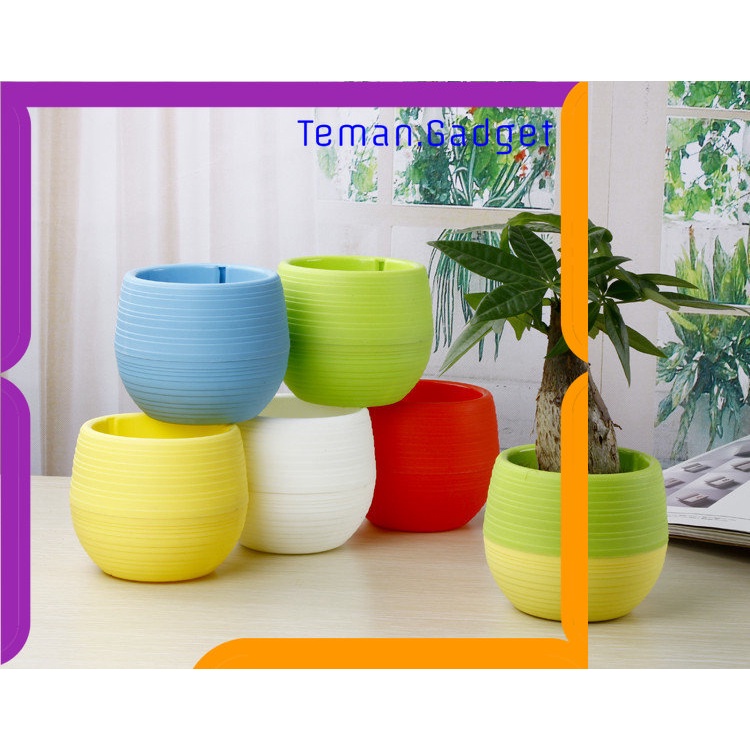 TG -  ART Mini Pot Bunga Hias Kaktus Tanaman - 5pcs