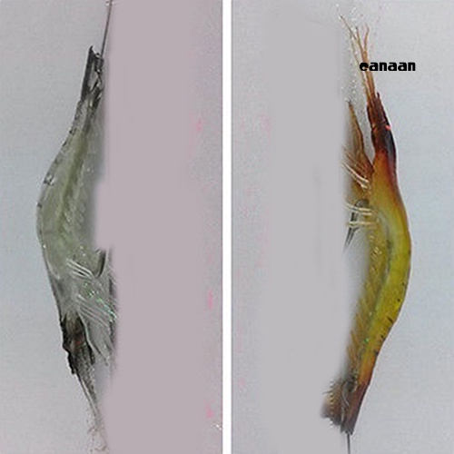 Cnn-1pc 75mm Plastik Lembut Manusia Hidup Simulasi Udang Glow in The Dark Memancing Umpan