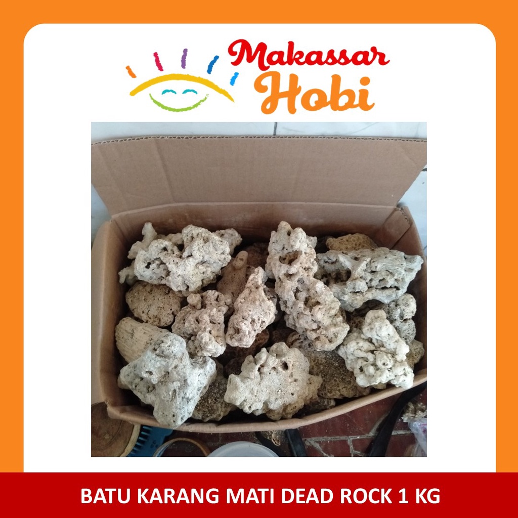 Batu Karang Mati Dead Rock 1kg 1 kg Hiasan Aquarium Air Laut &amp; Tawar