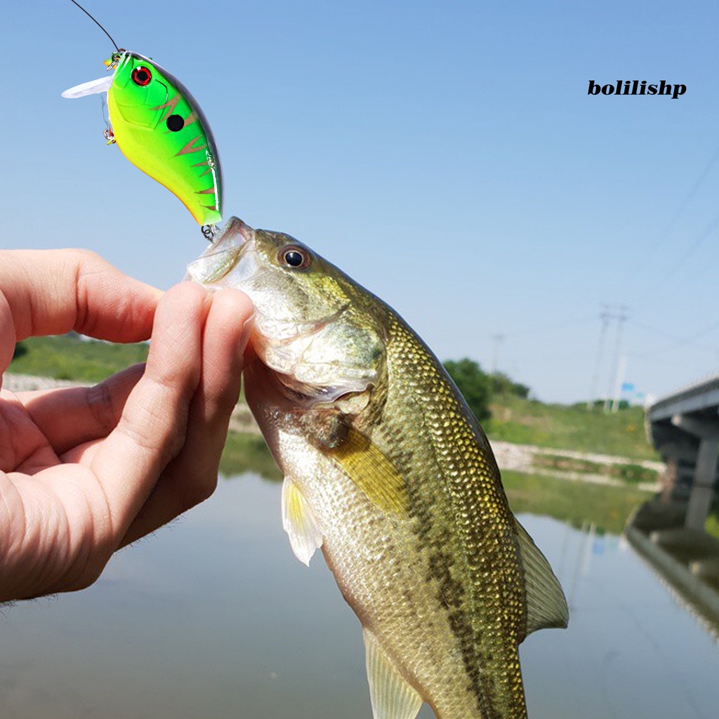 Bo-6cm/17g Umpan Pancing Simulasi 3D Fisheyes Lidah Panjang Warna Terang Kait Tajam Atraksi Ikan Universal Topwater Engkol Buatan Umpan Keras Alat Pancing