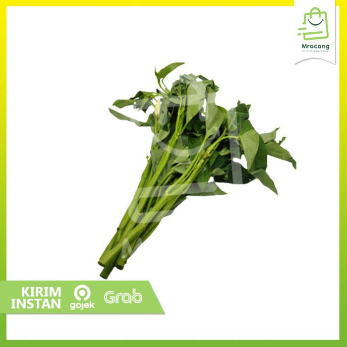 Kangkung Lombok - Kangkung Besar