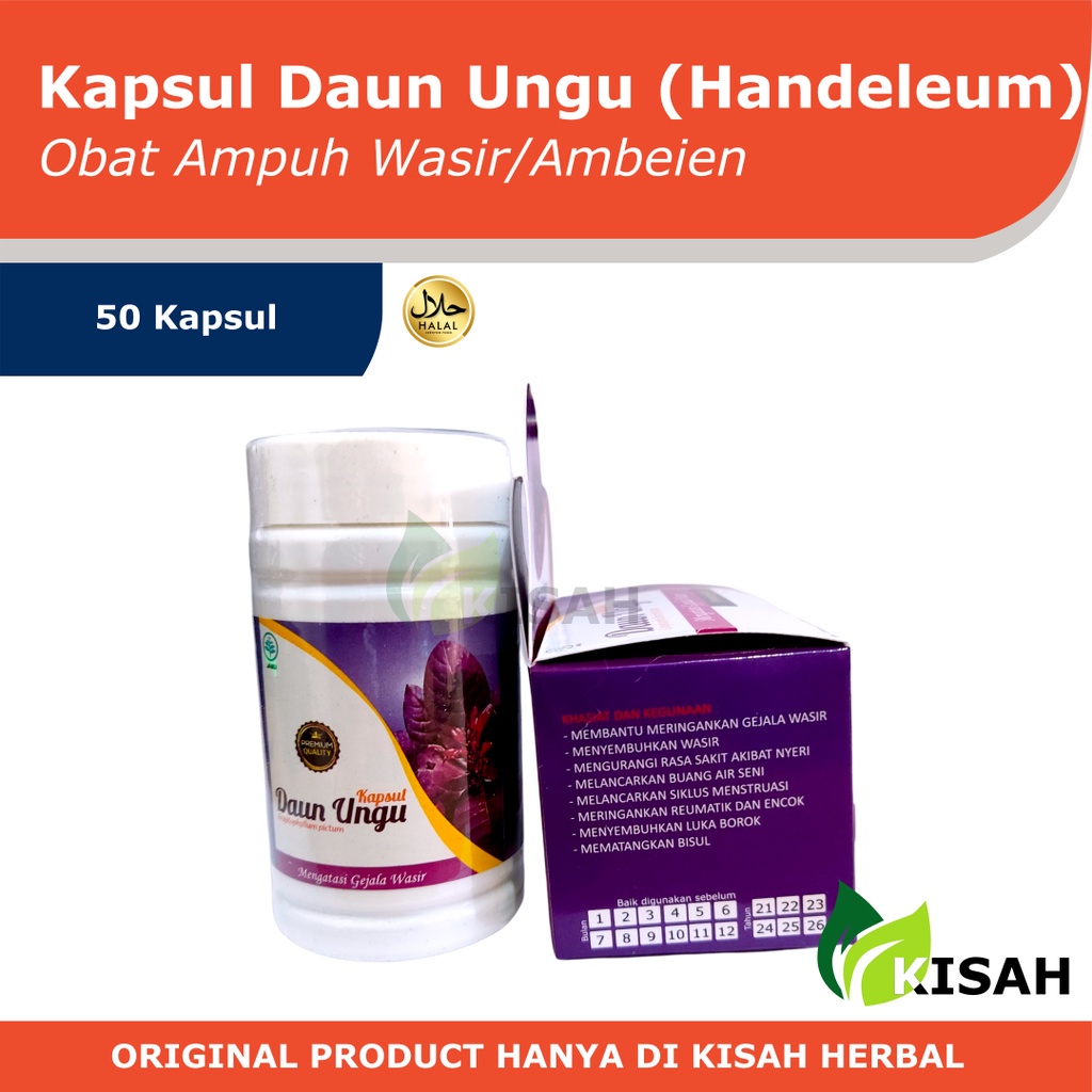 Kapsul Daun Ungu 50 Kapsul | Obat Wasir/Ambeien Reaksi Cepat (Daun Handeleum)