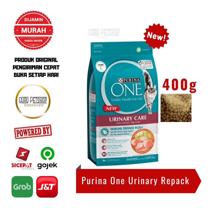 Purina ONE Healthy Urinary Chicken Makanan Kering Kucing Dewasa 400g