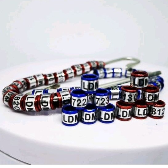 RING BURUNG RODA MURAI PERKUTUT KACER TRUCUK KUTILANG FALK