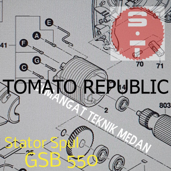 Murah GSB550 STATOR SPUL BOR TANGAN IMPACT HAMMER DRILL 13MM BOSCH GSB 550 SDK702