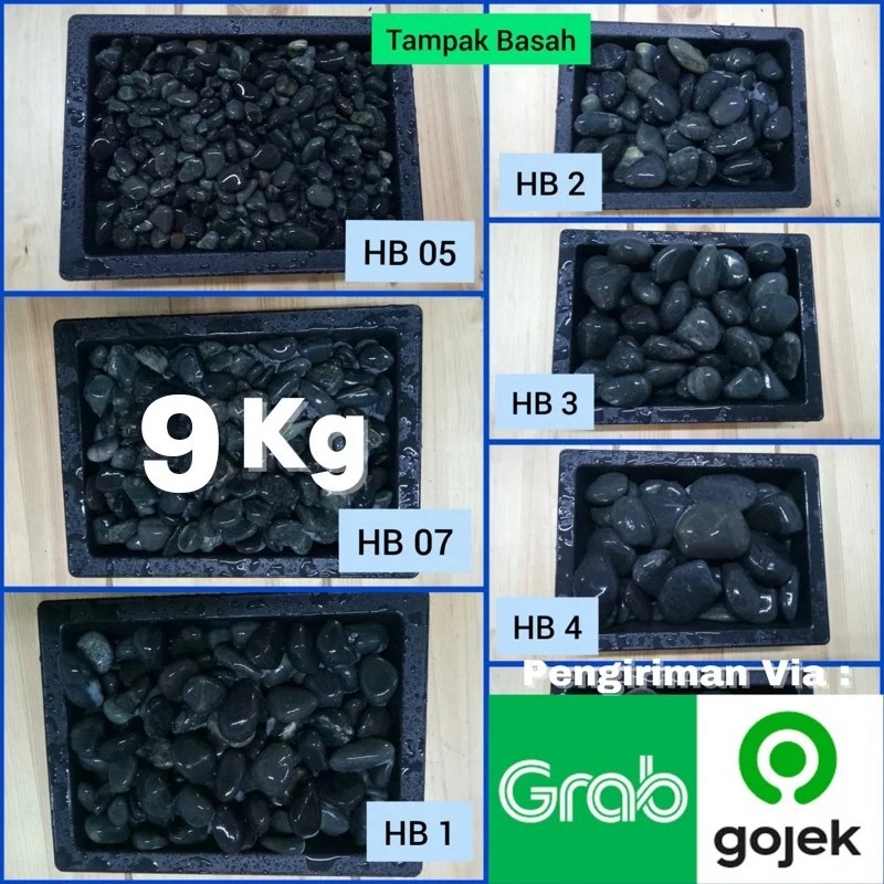 BATU HIAS KORAL HITAM BENGKULU (8 KG 1 KARUNG)