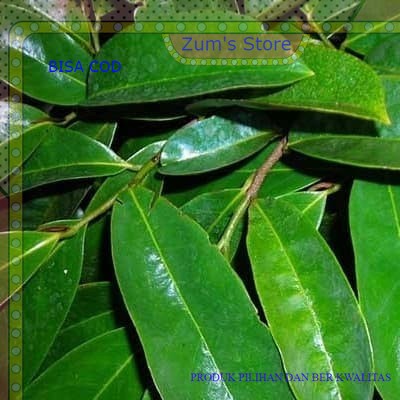 

Daun Sirsak Segar~Untuk Kesehatan~Rempah Makanan~Per Lembar