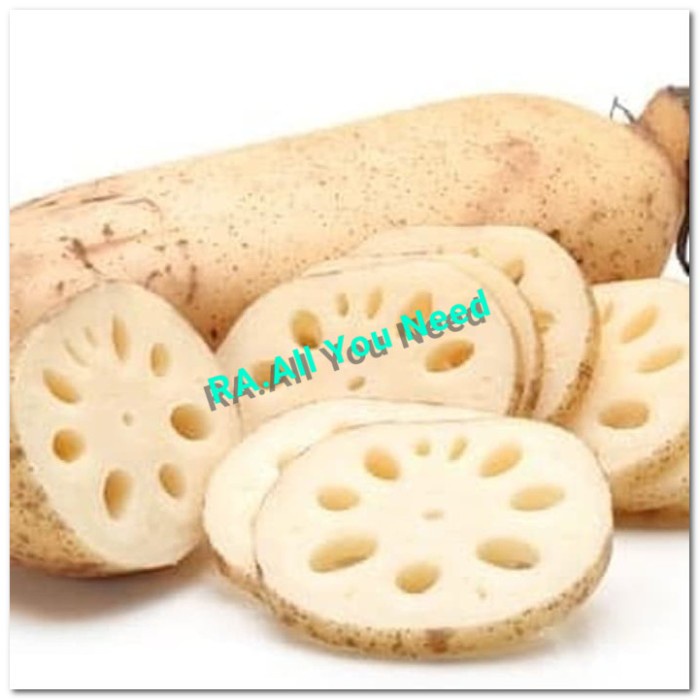 

Akar teratai / lengau segar dan bersih fresh lotus root 250 gram