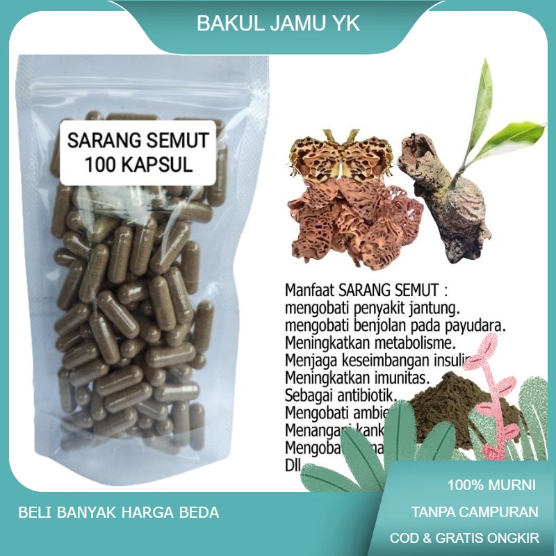

Sarang semut isi 100 kapsul untuk kanker