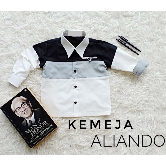 5.5 SALE Baju Anak Kemeja Aliando Kemeja Couple Baju Bayi Newborn Kemeja Kantor Baju Kerja Pria