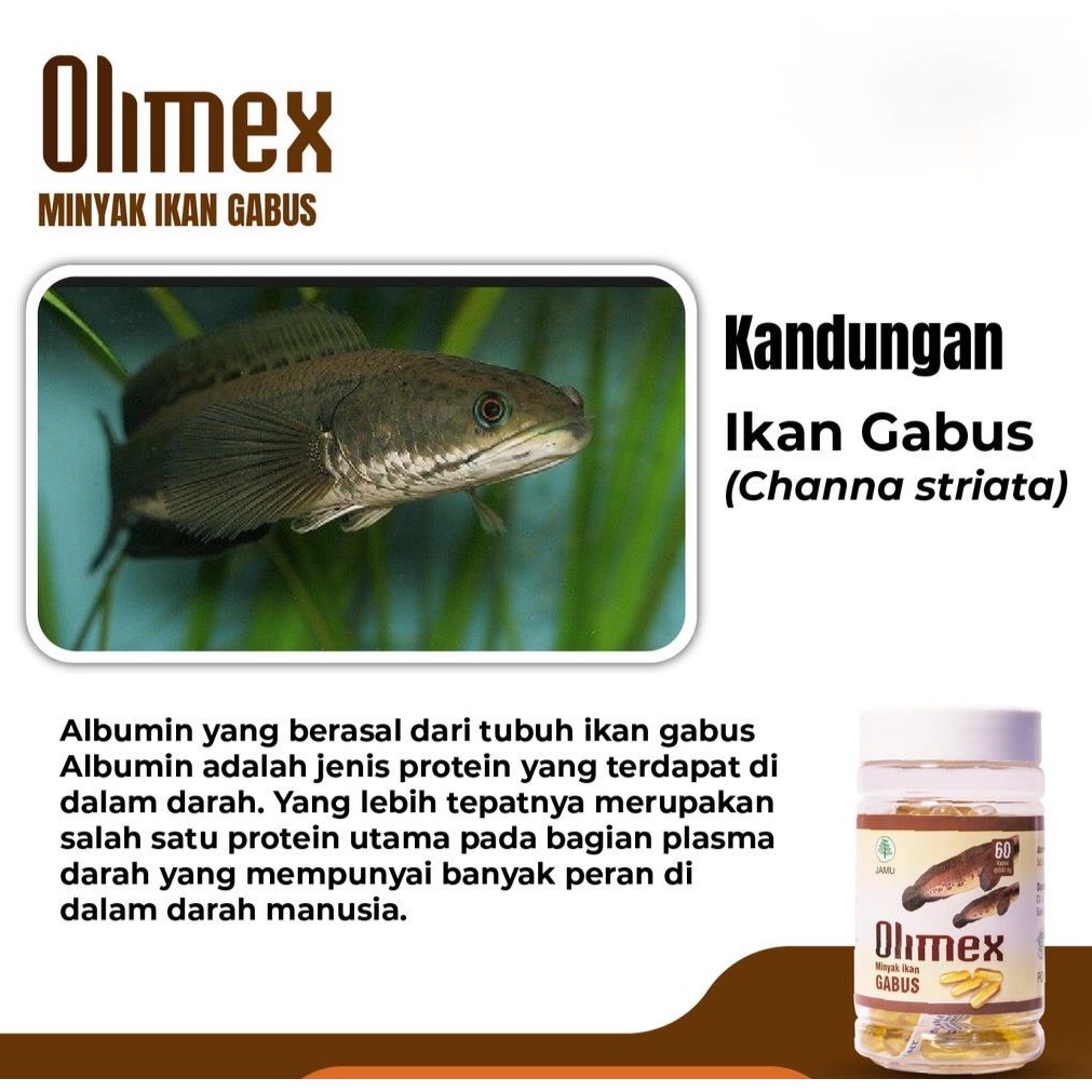 Kapsul OLIMEX Kapsul Ekstrak Minyak Ikan Gabus Asli Membantu Mempercepat Keringkan Luka Pasca Operasi Asli Original