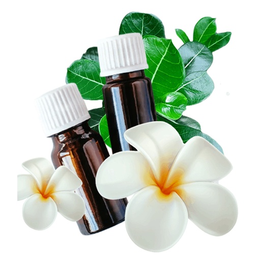 Frangipani Essential Oil / Kamboja Oil / Essential Oil