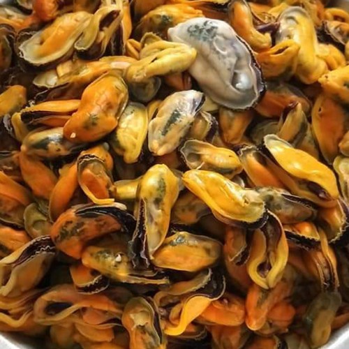 

kerang hijau kupas segar 250 gr