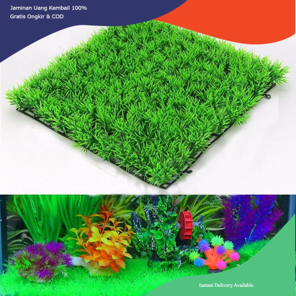 rumput aquarium, rumput akuarium, hiasan rumput aquarium, hiasan aquarium, dekorasi aquarium