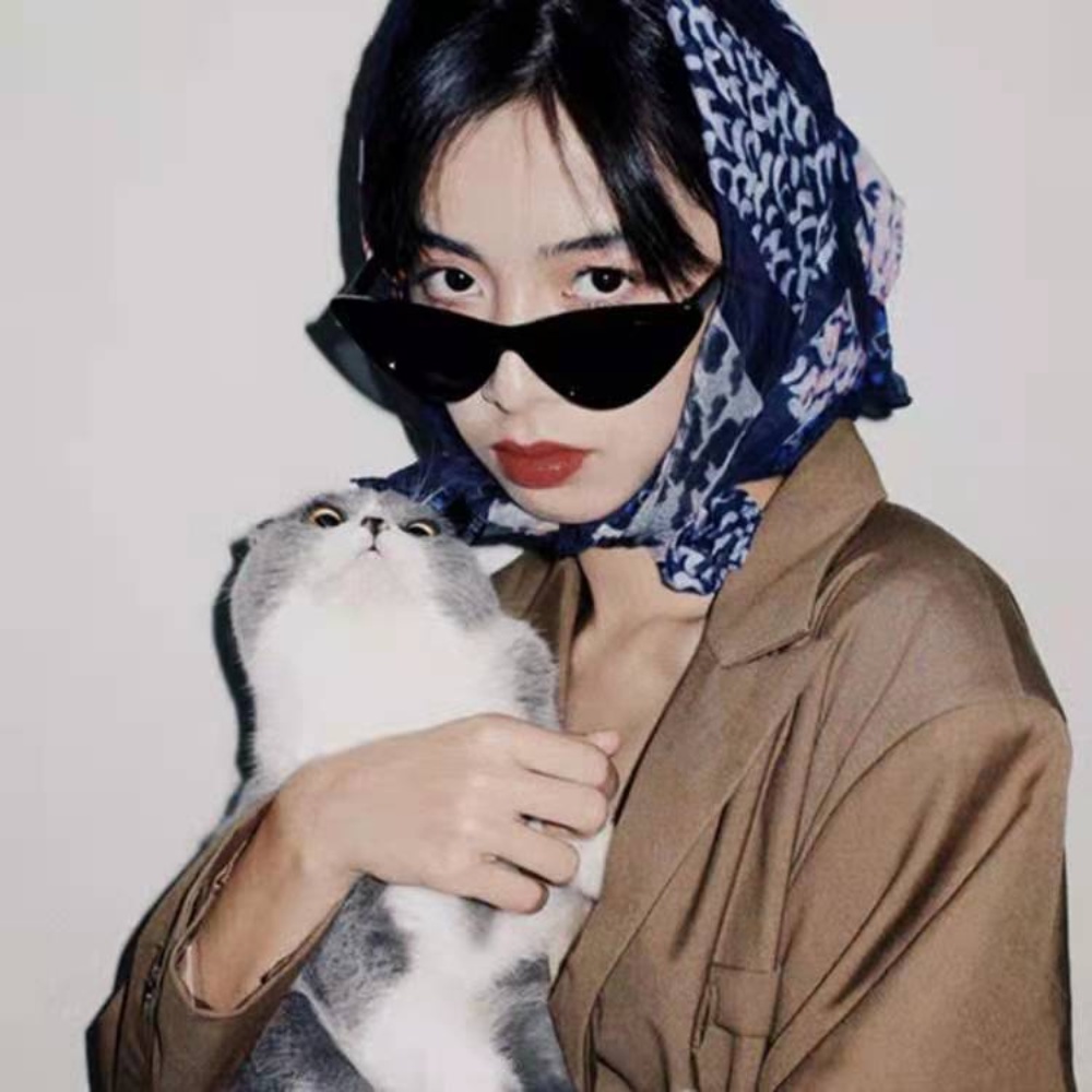 Eropa Amerika Retro Segitiga Mata Kucing Kacamata Hitam Versi Korea Bingkai Kecil Kacamata Hip-hop Kacamata Permen Perhiasan