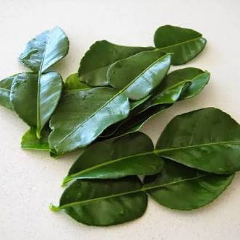 

daun jeruk nipis 100gram