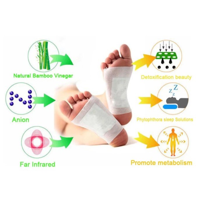 KINOKI GOLD KOYO KAKI DETOX / ISI 10 PCS PER BOX / KOYO KAKI GINGER PLUS SALT ORIGINAL / FOOT PADS