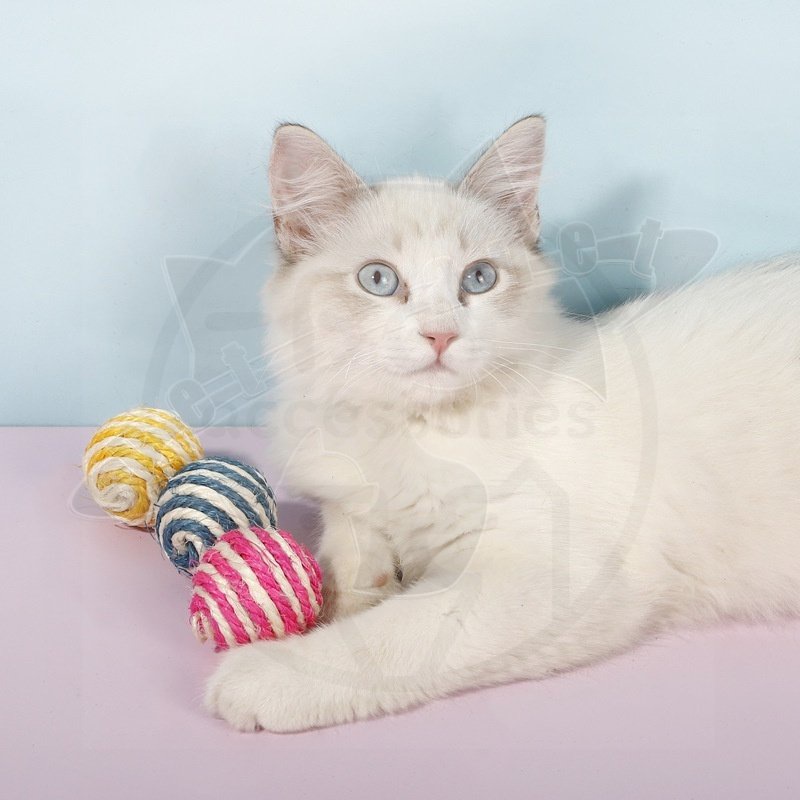 Bola Rajut Mainan Hewan Peliharaan Pembersih Gigi Pelatihan Interaktif Aksesoris Hewan Peliharaan Bola Untuk Cakar Kucing Pelengkapan Kucing Peliharaan