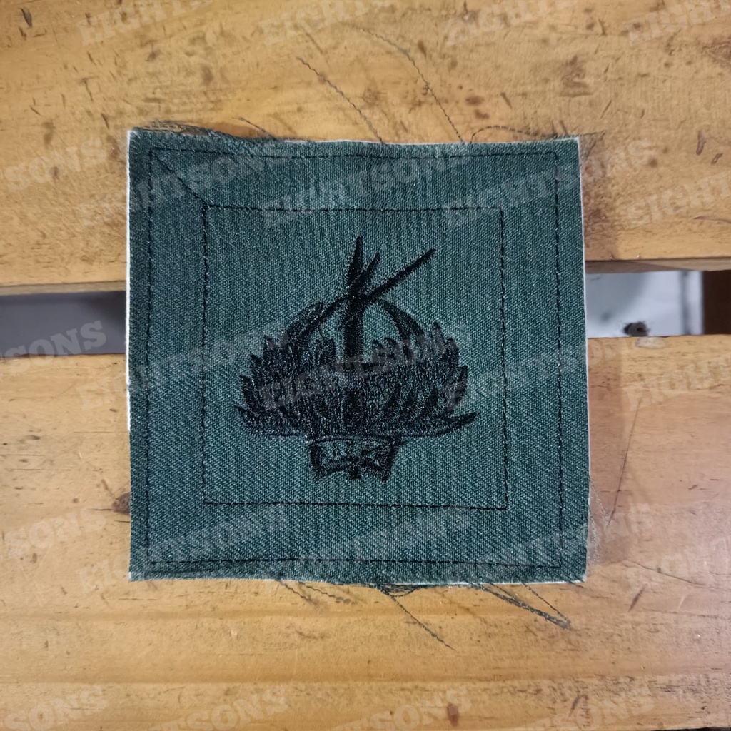 Brevet Brivet Wing PDL Raider PDL