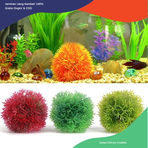 bola rumput aquarium, hiasan aquarium bola rumput, bola rumput warna, bola rumput aquarium warna, de