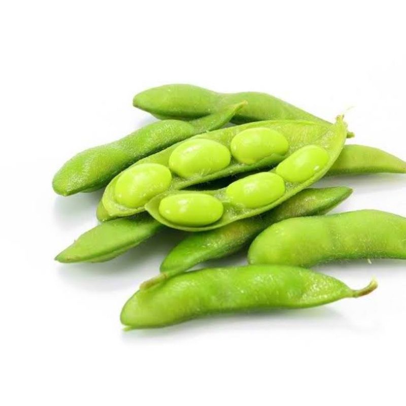 

edamame kedelai Jepang fresh