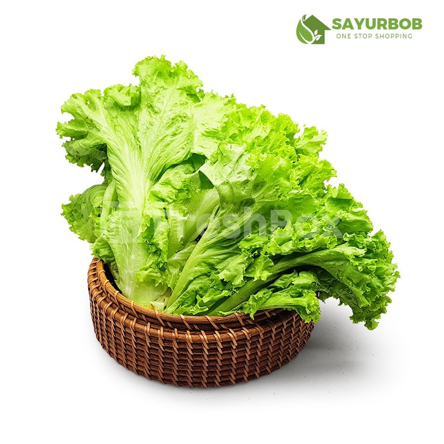

Selada Keriting 500 gr SayurBob