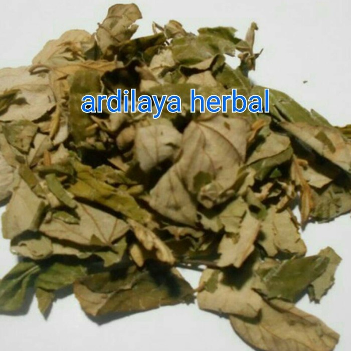 

daun bidara kering 500gr 100% ASLI