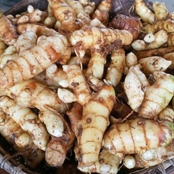 

New Promo kunyit putih segar 500gram asli organik herbal