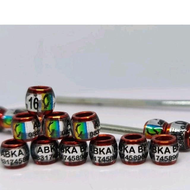 Ring murai donat hologram mewah reques nama