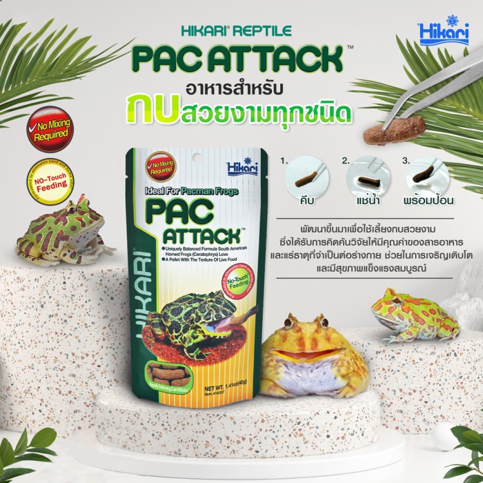 Promo 40gr Hikari Pac Attack Pelet Pac Man Frog Pixie Katak Kodok Amphibi - np