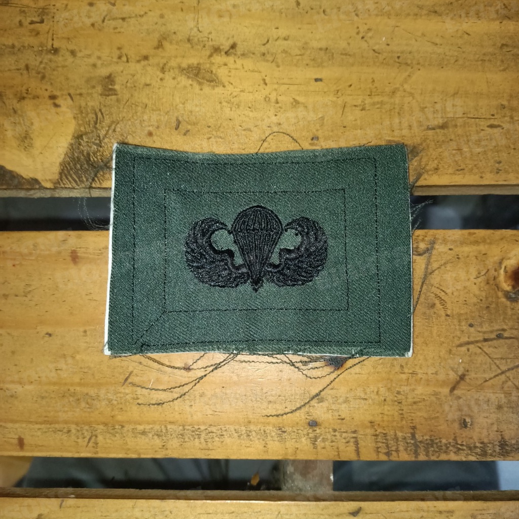 Brevet Brivet Wing PDL Airbone PDL