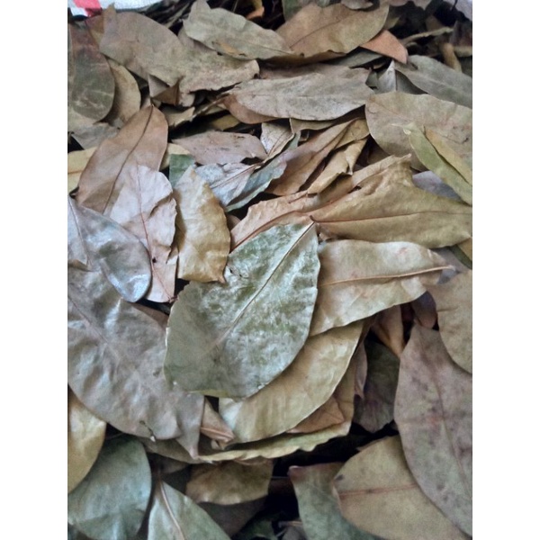 

BUBUK DAUN SIRSAT KERING 1 kg Tanaman Herbal Nusantara Free Stiker PIRT Random