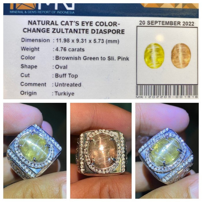 Natural 4.76ct Cat Eye Color Change Diaspore Zultanite Turkey