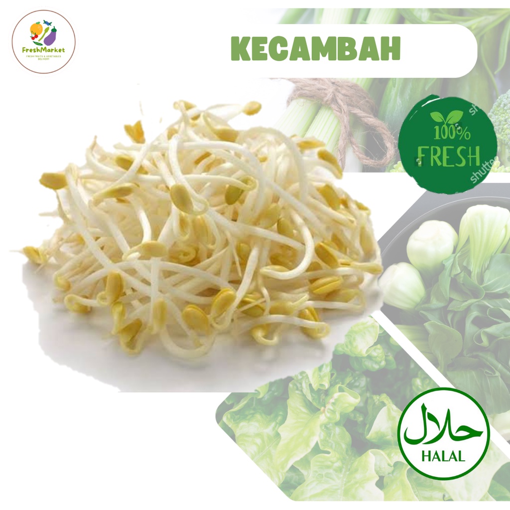 

Toge Kecambah Tauge Cambah Panjang Segar 500 Gram Freshmarketlampung