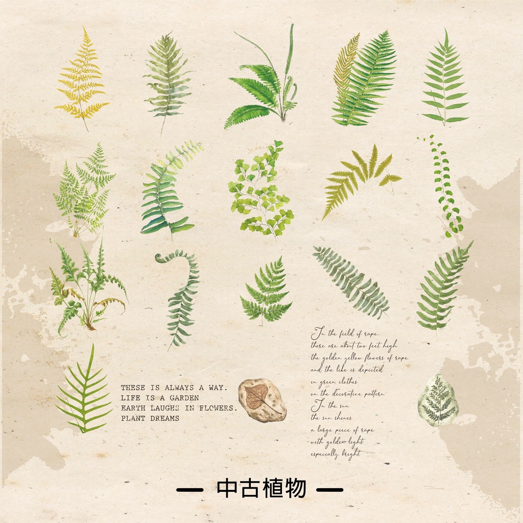 20pcs/set Transparan PET Retro Tanaman Bunga Kupu-Kupu Stiker Kreatif Handbook Diary Book Dekorasi Sticker