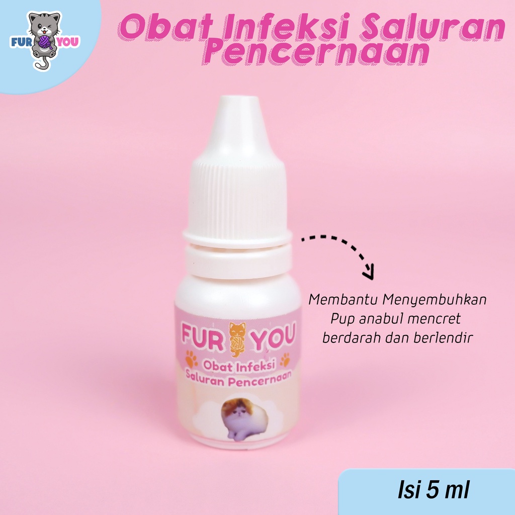 FURYOU Obat pup berdarah berlendir pada kucing
