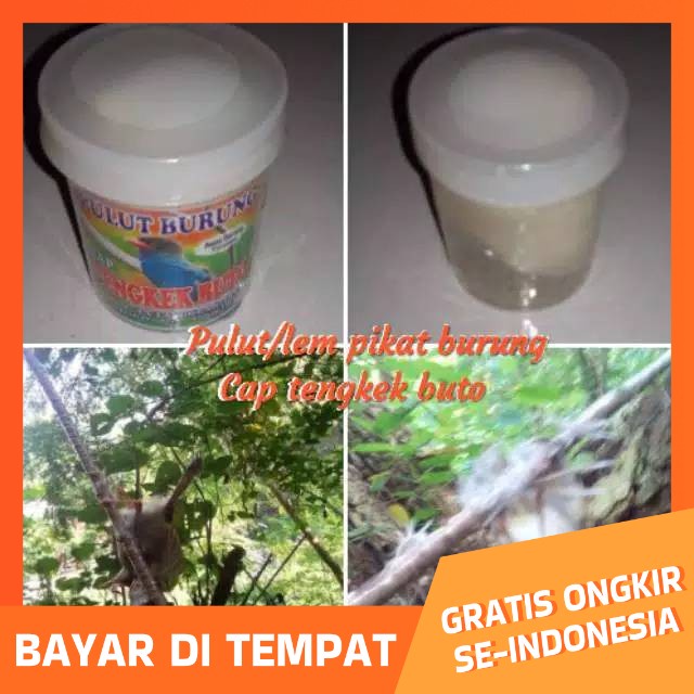 

Pulut ampuh anti leleh cap Tengkek buto