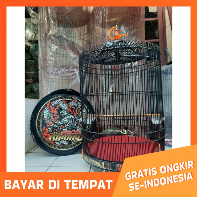 ebod jaya murai ebod strong motif naga