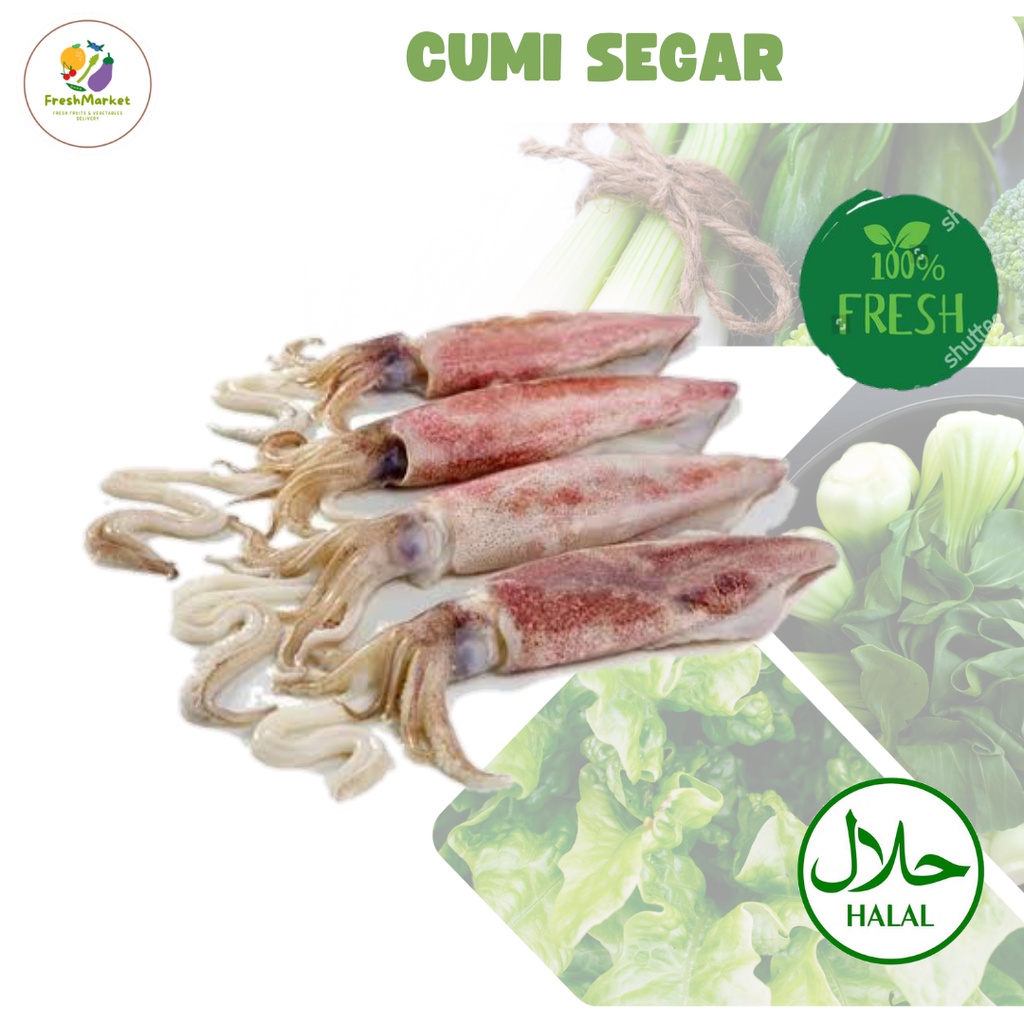 

Cumi Segar 1Kg Freshmarketlampung