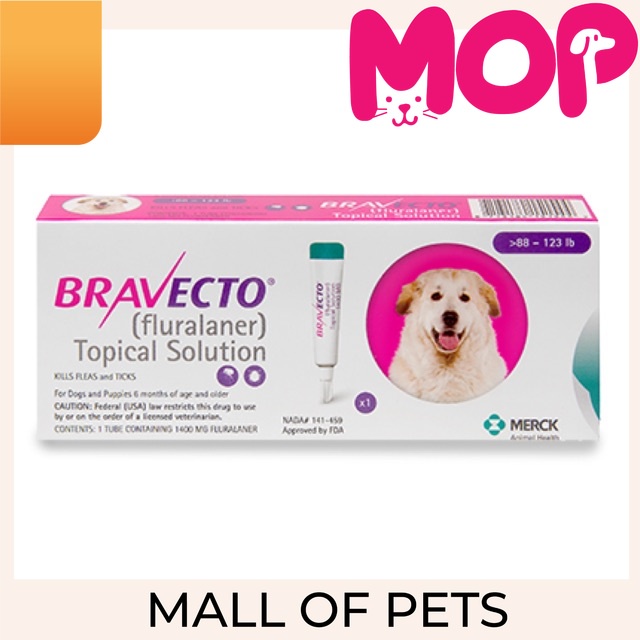 Bravecto obat tetes kutu anjing for very large dog