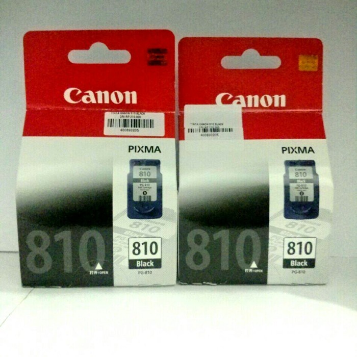 Tinta Canon 810 Black