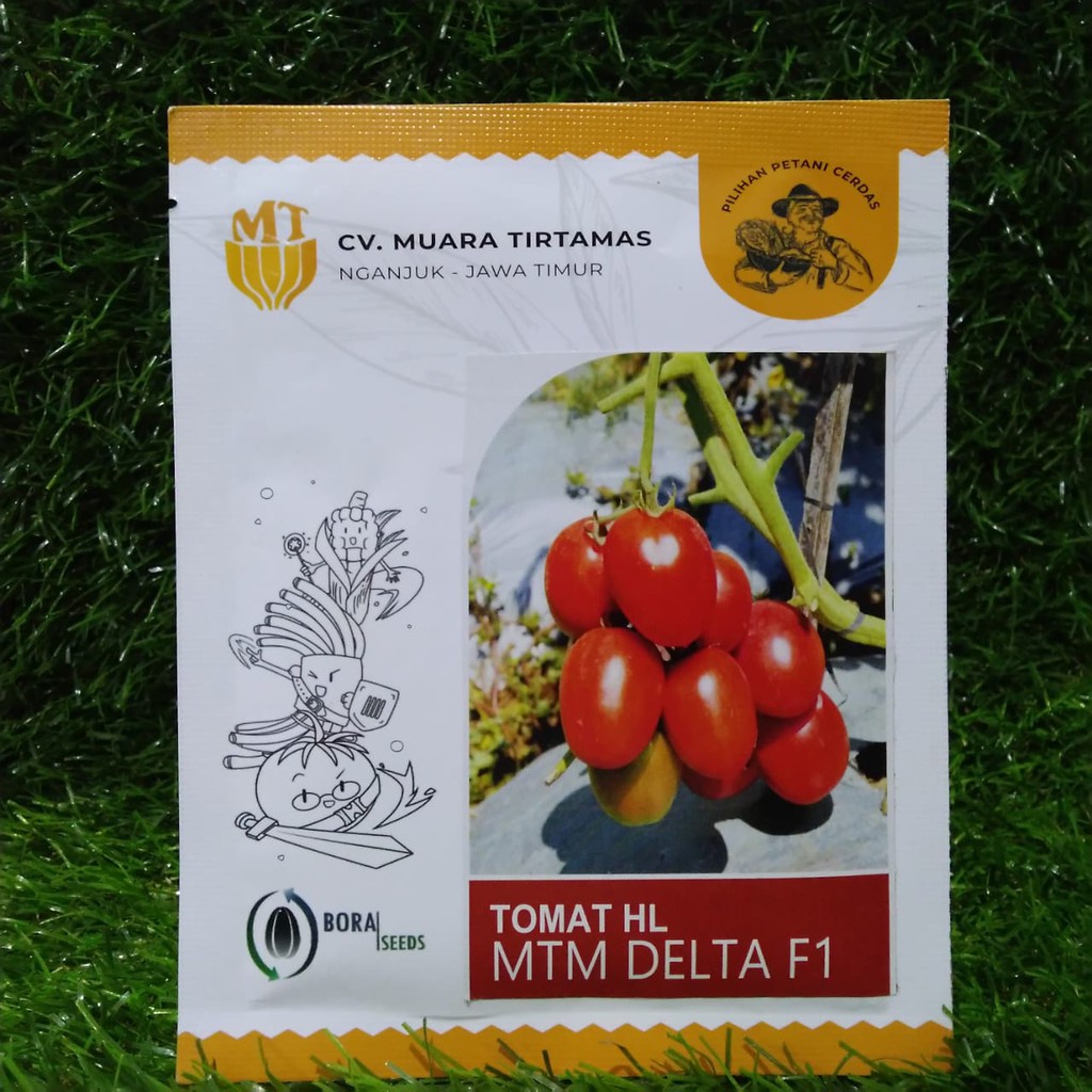TOMAT HL MTM DELTA F1 10 GRAM ORIGINAL BENIH Tomat BIBIT TOMAT HL MTM Benih unggul