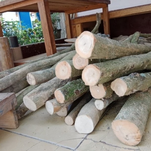 Kayu jati utuh panjang 1 meter