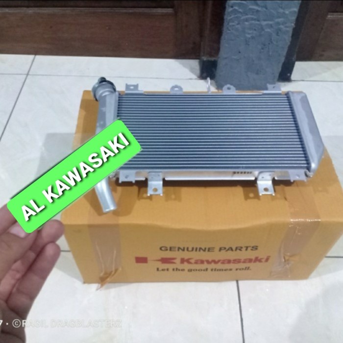 radiator ninja 250 fi new fan assy ninja 250fi 250 fi new 2018 ori Kawasaki