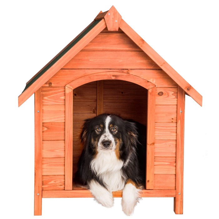 Kandang Anjing Mini | Rumah Anjing Kayu Minimalis | Dog House