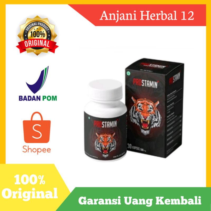 Prostamin Asli Original Suplemen Herbal Prostat Pria Prostamin Asli