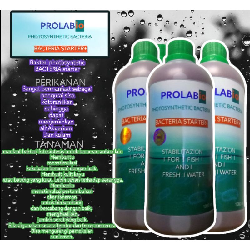 bakteri/bakteri starter/bakteri cair/bakteri aquascape/bakteri kolam koi/bakteri kolam/bakteri pengu
