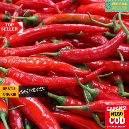 

Cabai Merah Besar 1 Kg Segar .