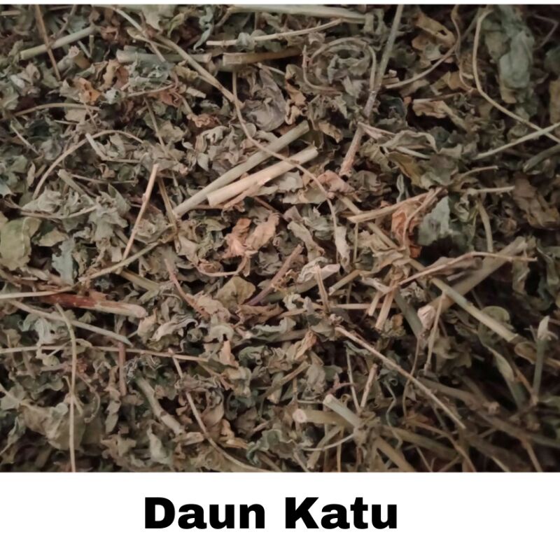 

Bubuk Daun Katu Kering 1 kg Tanaman Herbal Nusantara Free Stiker PIRT Random