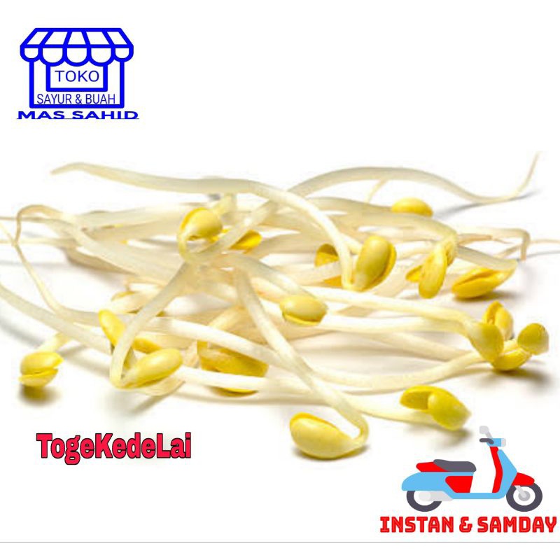 

INSTAN Toge Kedele Cambah Kedelai 120 gram